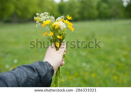 bouquet of wildflowers in hand on the background of grass