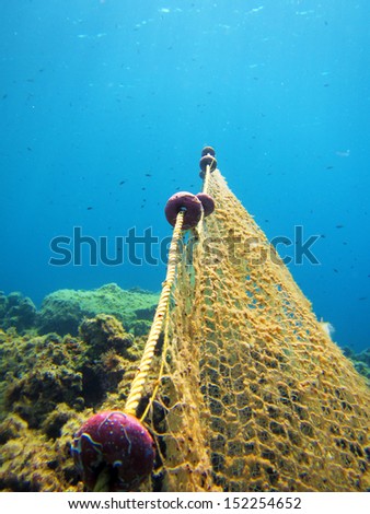 Old fishing nets caught in sea bed