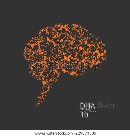 Molecular structure in the form of brain vector elegant illustration Molecular structure in the form of brain vector elegant illustration
