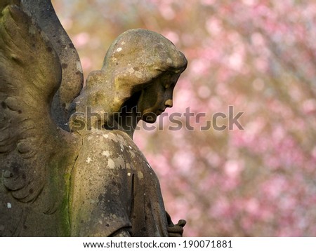 Statue of an angel with a spring tree background