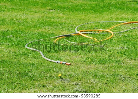 Rubber hose and green grass