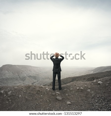 Businessman observing the desert landscape