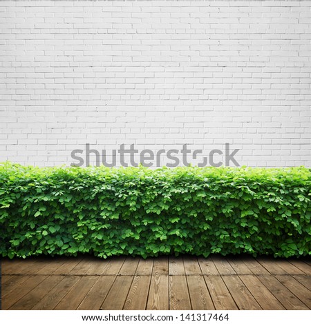 Wood Terrace With Green Plants