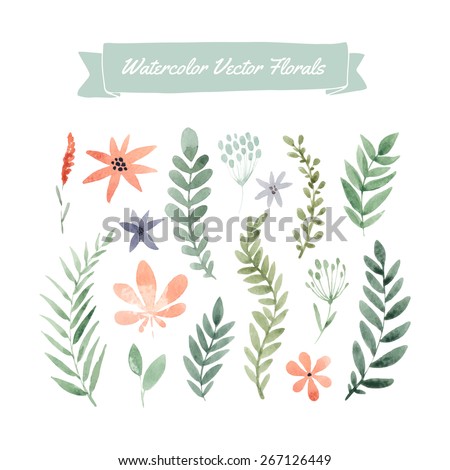Set of handpainted watercolor vector flowers and leaves. Design element for summer wedding, spring congratulation card. Perfect floral elements for save the date card. Artwork for your design.