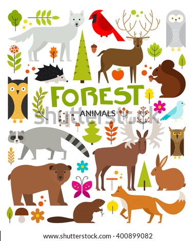 Set of forest animals made in flat style vector. Zoo cartoon collection for children books and posters. Wolf, reindeer, moose, racoon, fox,bear and other mammals. Each animal isolated and easy to use.