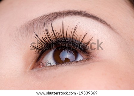 close up picture of a brown eyed woman