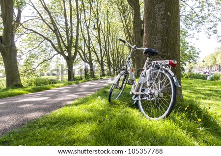 Bicycle leaning against tree in park, with tree lined road in the background.