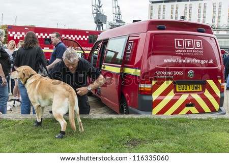 LONDON, UK - OCTOBER 20: A fire brigade dog is prepared to demonstrate its skills in a rescue challenge. Fire fighters met for the World rescue challenge. October 20, 2012 in London.