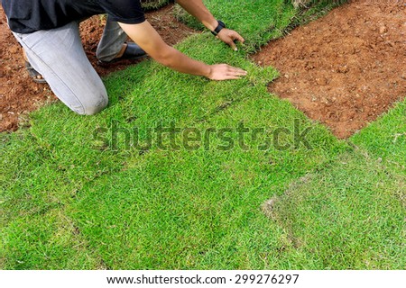 Workers are planting grass in the backyard.