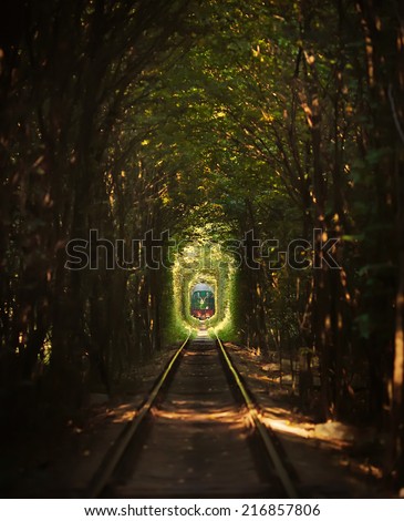 Same Train running in Natural tunnel of love formed by trees