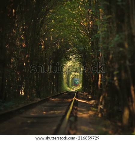 Same Train running in Natural tunnel of love formed by trees