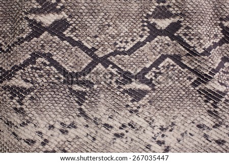 Seamless texture background brown snake leather