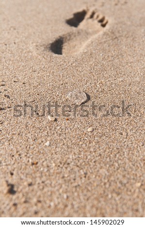 Jellyfish in the sand and a footprint on the beach. Huella de un pie en la arena de la playa.