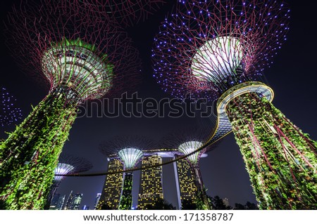 SINGAPORE -JANUARY 13: Night view of Supertree Grove at Gardens by the Bay on Jan 13, 2014 in Singapore. Spanning 101 hectares of reclaimed land in central Singapore, adjacent to the Marina Reservoir