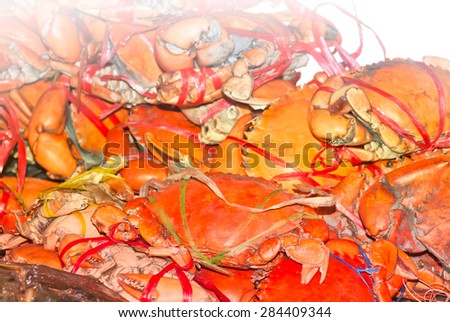 Bake mud crab for foods background