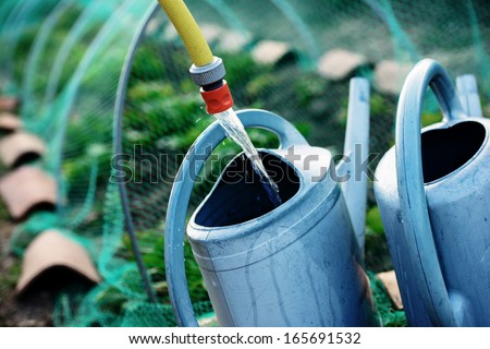 Gardening, fill watering can of water for watering the plants in garden. Safety net against birds background
