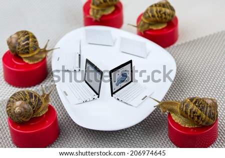 metaphor of business meeting with snails around table using computers