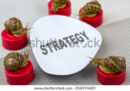 metaphor of business meeting with snails around table and word strategy