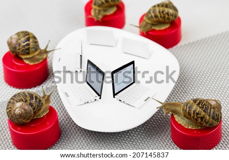god results in business meeting with snails around table using computers