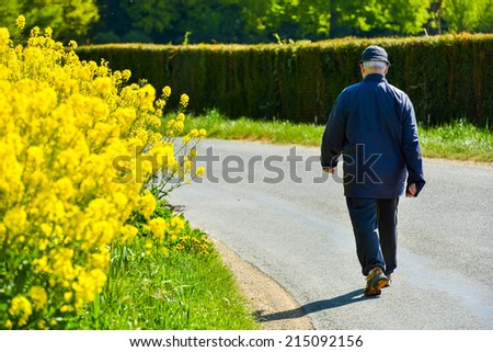 An old man walking along the road with bright yellow field flowers to his left side