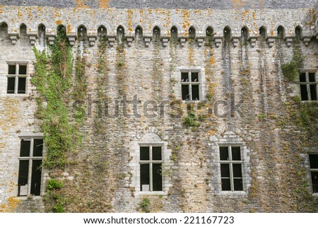 Abandoned old building with beautiful architecture, green plants growing along the wall and birds sitting on window frames