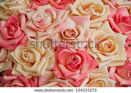 Pink and white roses horizontal