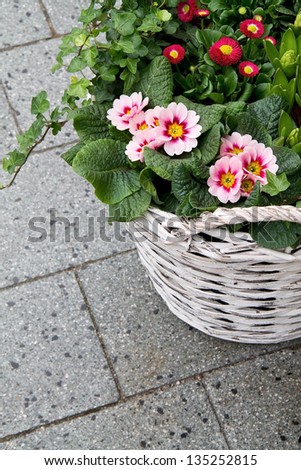 Flowers in Basket on street
