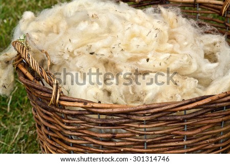 Shaven wool in basket