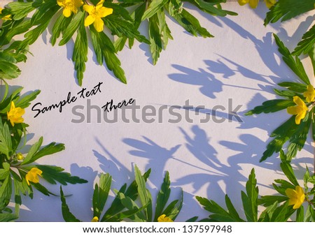 Flower frame with space for copy sample text