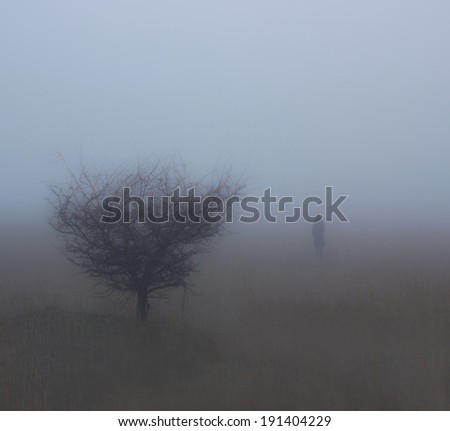 Wayfarer.Silhouette of woman in mysty fog