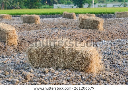 block of brown rice straw for cover soil for vegetable
