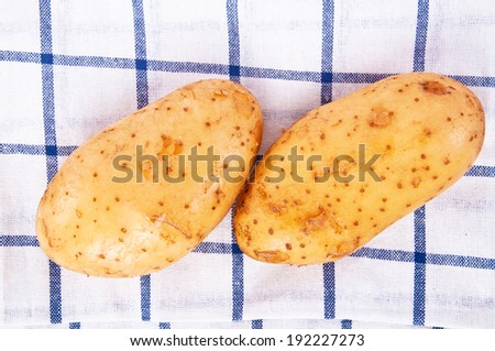 Fresh Potato Harvest From Farm with Checked Cotton Table Fabric Vintage Country Style isolated on white background.