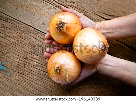 Hand (Human Farmer Chef Cook) Holding Fresh Three Onions on Vintage Wood Table Background, Rustic Style.