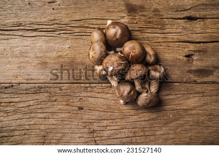 Group of Fresh Harvest Mushroom on Wood Table Background, Concept and Idea of Food Cook Rustic Still life Style.
