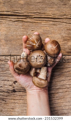 Hand Holding (Show, Select, Choose, Buy) Group of Fresh Harvest Mushroom on Wood Table Background, Concept and Idea of Food Art Cook Rustic Still life Style.