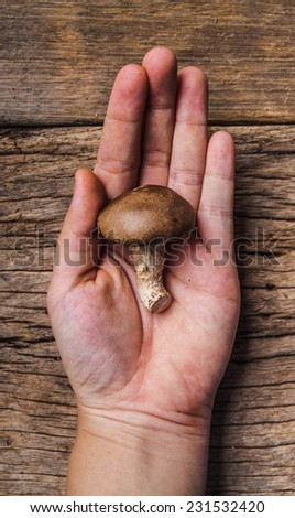 Hand Holding (Show, Select, Choose) Fresh Harvest Mushroom on Wood Table Background, Concept and Idea of Food Art Cook Rustic Still life Style.