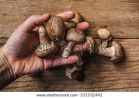 Hand Holding (Show, Select, Choose) Group of Fresh Harvest Mushroom on Wood Table Background, Concept and Idea of Food Art Cook Rustic Still life Style.