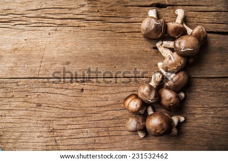 Fresh Harvest Mushroom on Wood Table Background, for Background Wallpaper, Concept and Idea of Food Cook Rustic Still life Style.