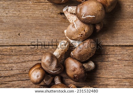 Close up Fresh Harvest Mushroom on Wood Table Background, Concept and Idea of Food Cook Rustic Still life Style.