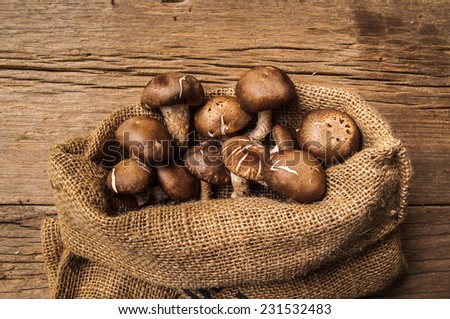 Fresh Harvest Mushroom in Vintage Burlap Bag on Wood Table Background, Concept and Idea of Food Art Cook Country Farm Rustic Still life Style.