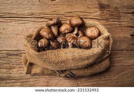 Fresh Harvest Mushroom in Vintage Burlap Bag on Wood Table Background, Concept and Idea of Food Art Cook Country Farm Rustic Still life Style.