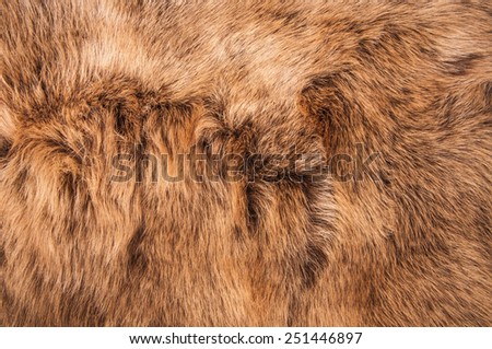 Brown Fur Natural, Wolf Fox, Animal Wildlife Hair Fur / Concept and Idea Style for Background, textures and wallpaper. Close up Full Frame.