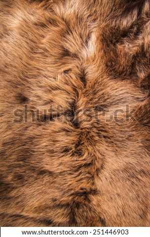 Brown Fur Natural, Wolf Fox, Animal Wildlife Hair Fur / Concept and Idea Style for Background, textures and wallpaper. Close up Full Frame.