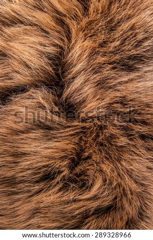 Brown Fur Natural, Wolf Fox, Animal Wildlife Hair Fur / Concept and Idea Style for Background, textures and wallpaper. Close up Full Frame. Vertical.