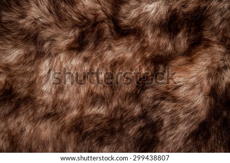 Fur, Dark Brown. Wolf Fox Skin. Natural Mountain Wildlife Animal. Concept and Style for Background, Texture and Wallpaper, Close up Full frame.
