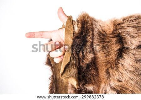 Fur, Animal Skin (Wolf, Fox), Brown. Hand Holding. Concept and Idea of Animal Mountain Wildlife, Hunting, Anti Fur, Fashion and Leather Industry or For Background, Textures. Isolated on White.