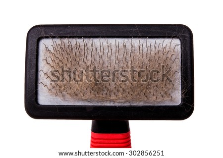Brush, Pet Grooming Brush, Wire Comb for Dog, Cat, Rabbit or Others Pet. Used with Hair, Fur. Close up, Isolated on White Background.