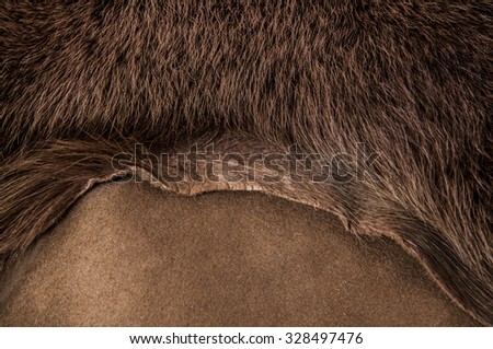 Animal Skin, Fur and Hair. Concept and Idea of Animal Mountain Wildlife, Fashion and Leather Industry or For Background, Textures and Wallpaper