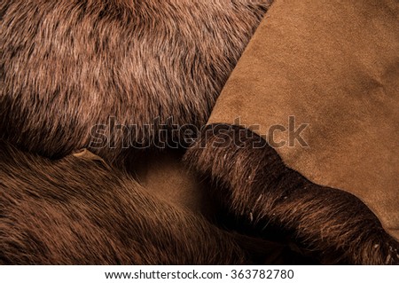 Animal Skin, Fur and Hair. Concept and Idea of Animal Mountain Wildlife, Fashion and Leather Industry or For Background, Textures and Wallpaper