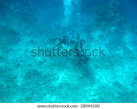 Two divers on the bottom of Red sea
